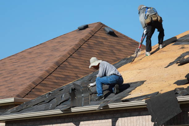 Best Skylight Installation and Repair  in Montrose, VA