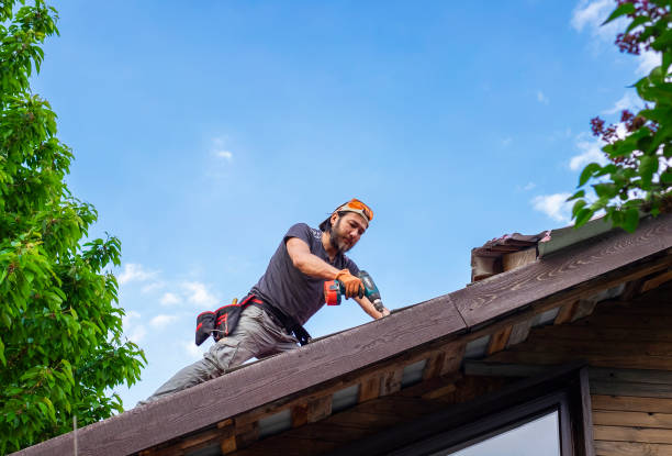 Best Asphalt Shingles Roofing  in Montrose, VA